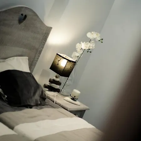 Domaine Finili * Cauro