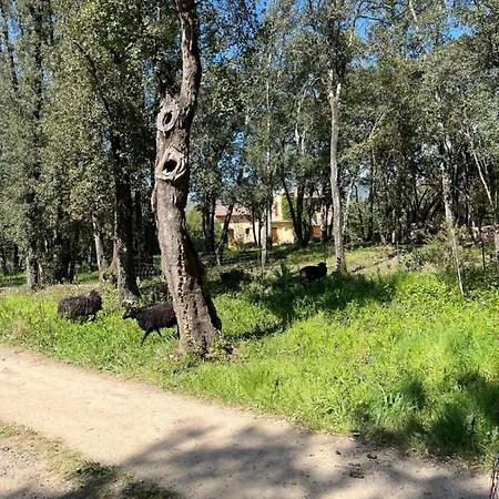 Domaine Finili * Cauro
